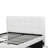 Gracious Wooden Full Bed With Trundle And SQU Tufted HB, White