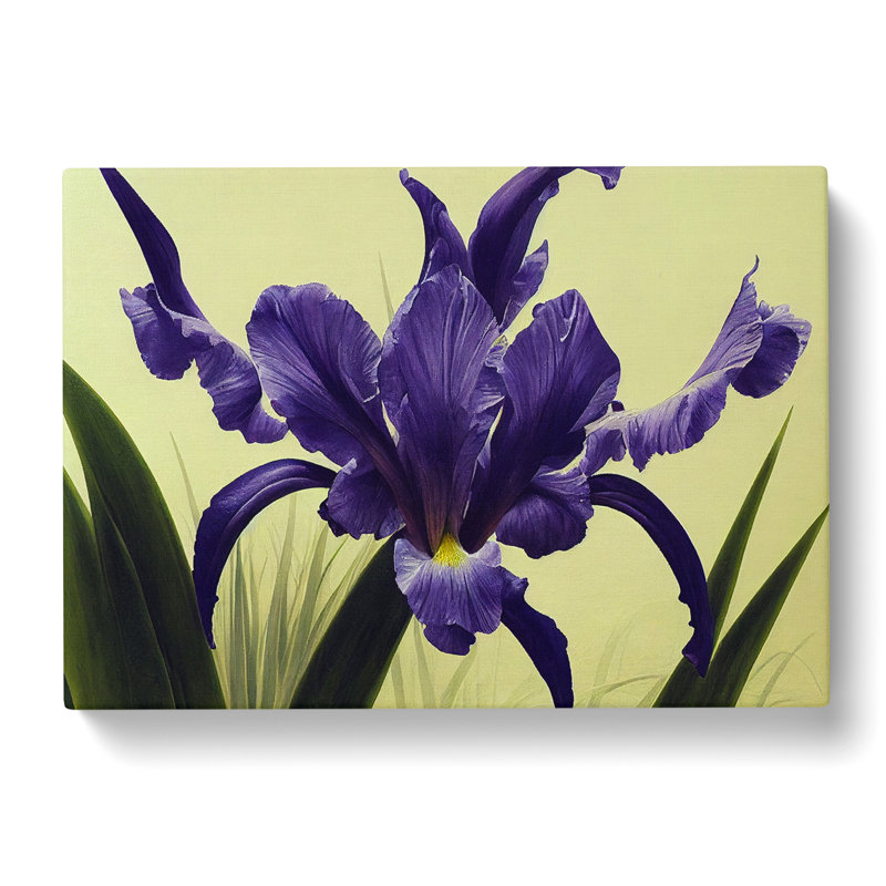Cute Iris Flowers - Wrapped Canvas, 35cm H x 50cm W x 3cm D
