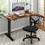 Ensemble de bureau: chaise de bureau en filet et bureau électrique-114530668