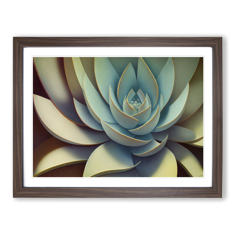 XH1022-6902X Phenomenal Succulent Plant - Single Picture Frame Print, 46cm H x 64cm W x 2cm D, Walnut Framed