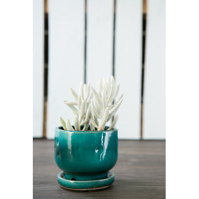 7 in. Pena Floral Pot - Nautilus
