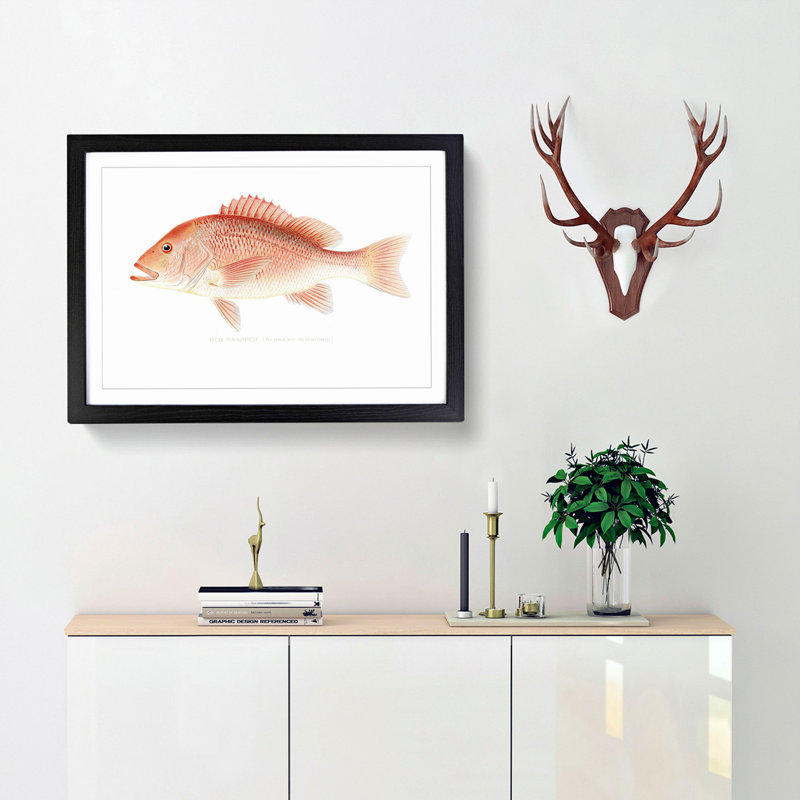 Red Snapper by Sherman F. Denton - Picture Frame Painting Print, 27cm H x 36cm W x 2cm D, Black Framed