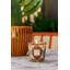 My First Baobab Candle Max08