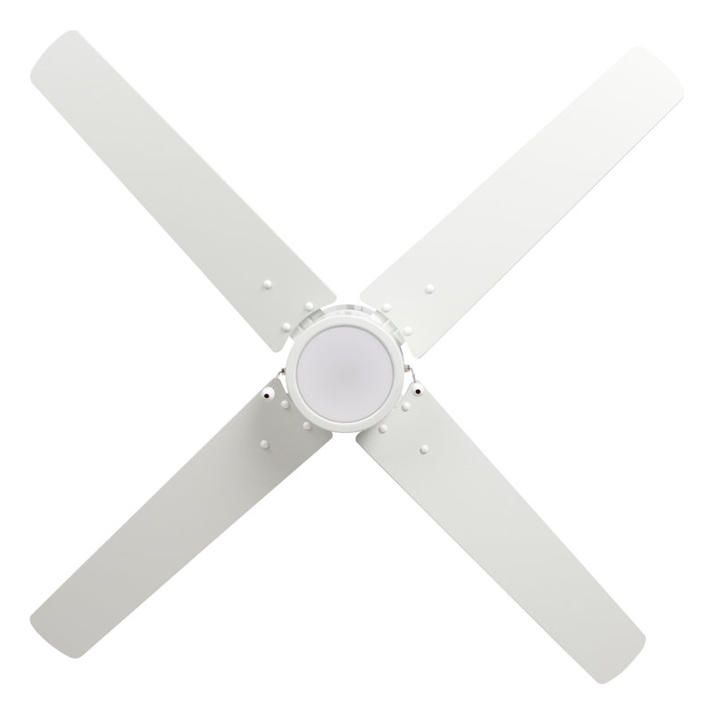 Scoggins 52" 4-Blade Indoor Ceiling Fan, White, White