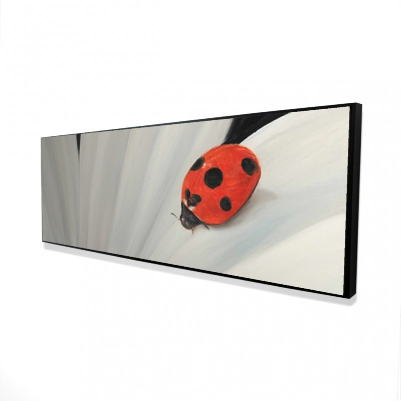 " White Daisy And Ladybug "