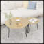 Ensemble de 2 tables basses gigognes 27,56 po-1759639833-1759639815