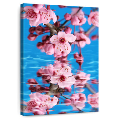 Harnek Sakura Reflection