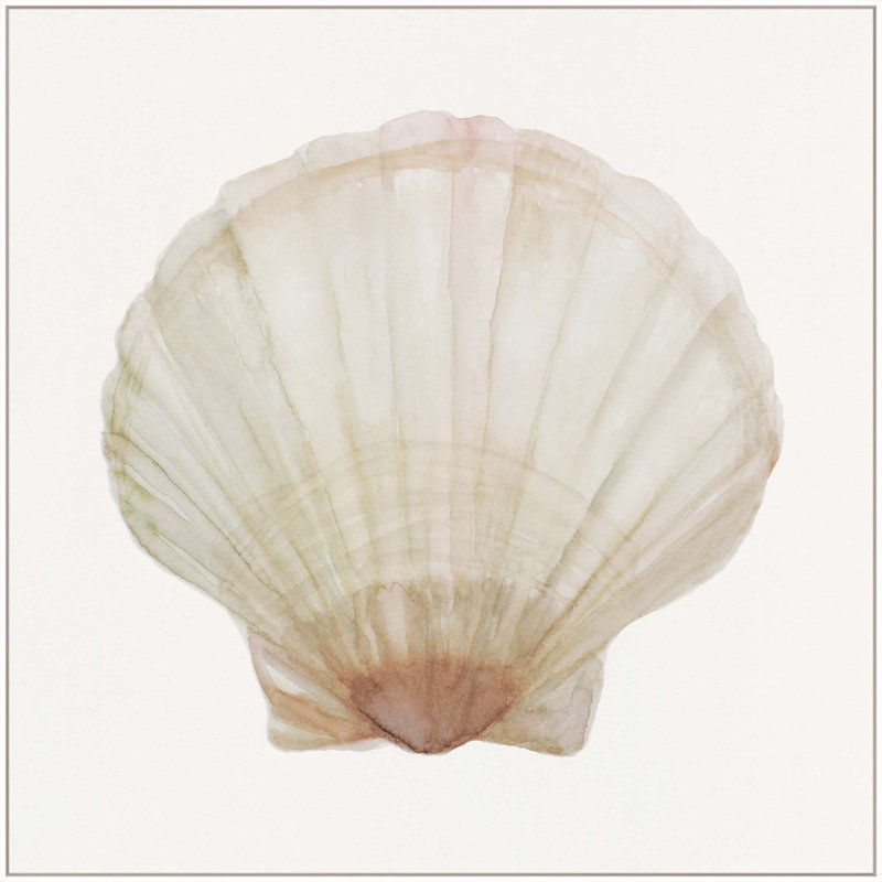 Sea Shell 6 Print, White Floater Framed, 41" H x 41" W