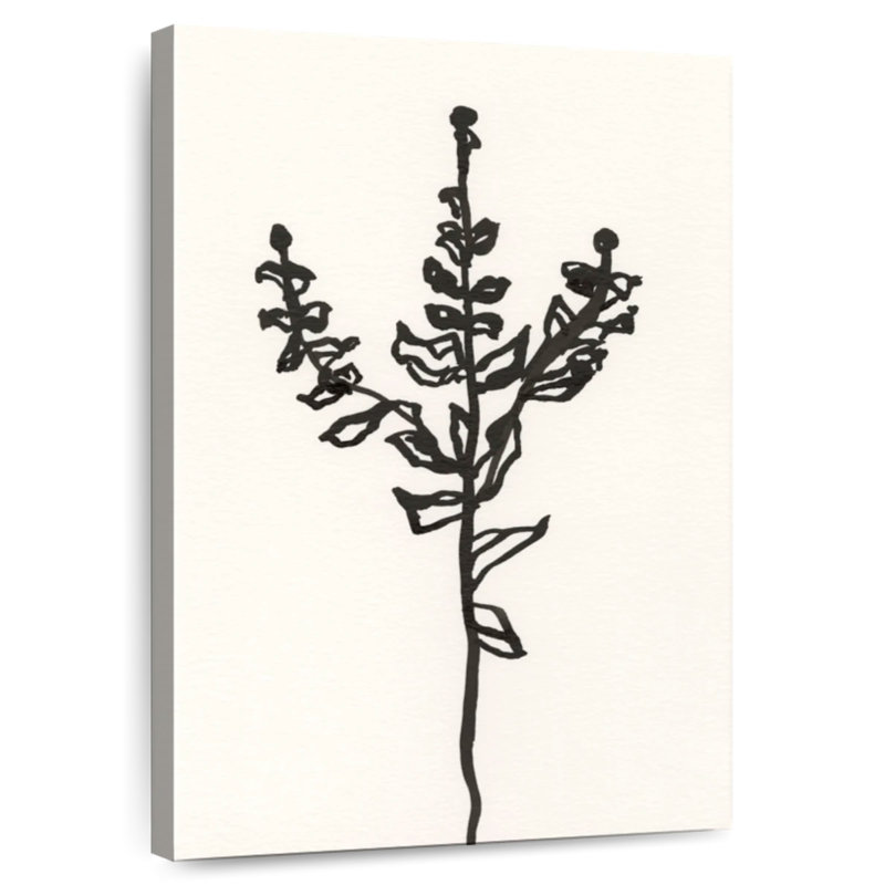 Esquisse botanique Harnek Ink II, H 36 po x l 24 po