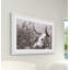 Parvez Taj - Single Picture Frame Print-19700950