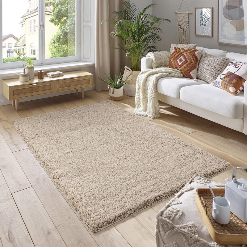 Machine Braided Area Rug, Latte, Rectangle 60 x 110 cm