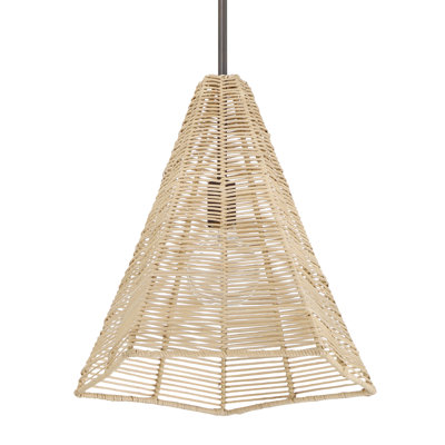 Grand luminaire suspendu 1 lumière Hunter Comet