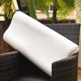 Giancarlo Memory Foam Pillow