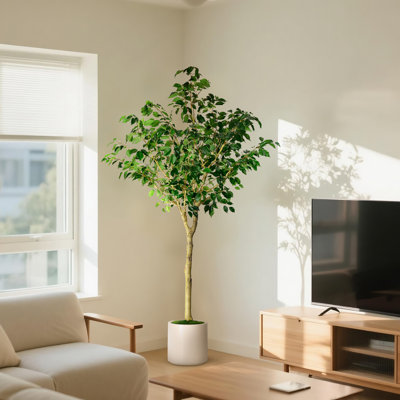Artificial Ficus Tree in White Decor Pot