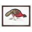 Bengal Horned Pheasant by John Edward Gray - Picture Frame Painting Print-55685513-55685514