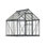 Palram - Ensemble de serre à cadre en aluminium en polycarbonate de style passe-partout hybride l 6 pi x P 8 po Canopia - Gris