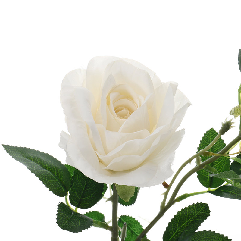 Silk Rose Arrangement, White, 21cm H x 15cm W x 15cm D