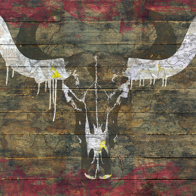 « two sides (cow crâne) », impression sur toile, H 12 po x l 12 po x P 0,75 po, Wrapped Canvas, Pas de tapis