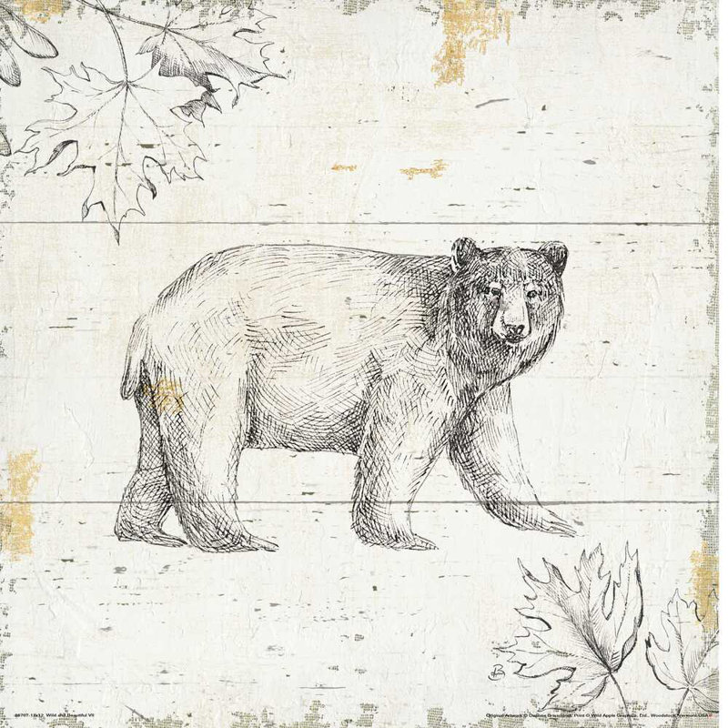 Wild and Beautiful VII, H 12 po x l 12 po