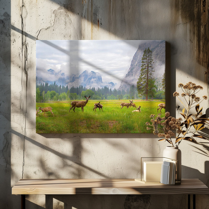 Wrapped Canvas Print, 60.96 cm H x 91.44 cm W