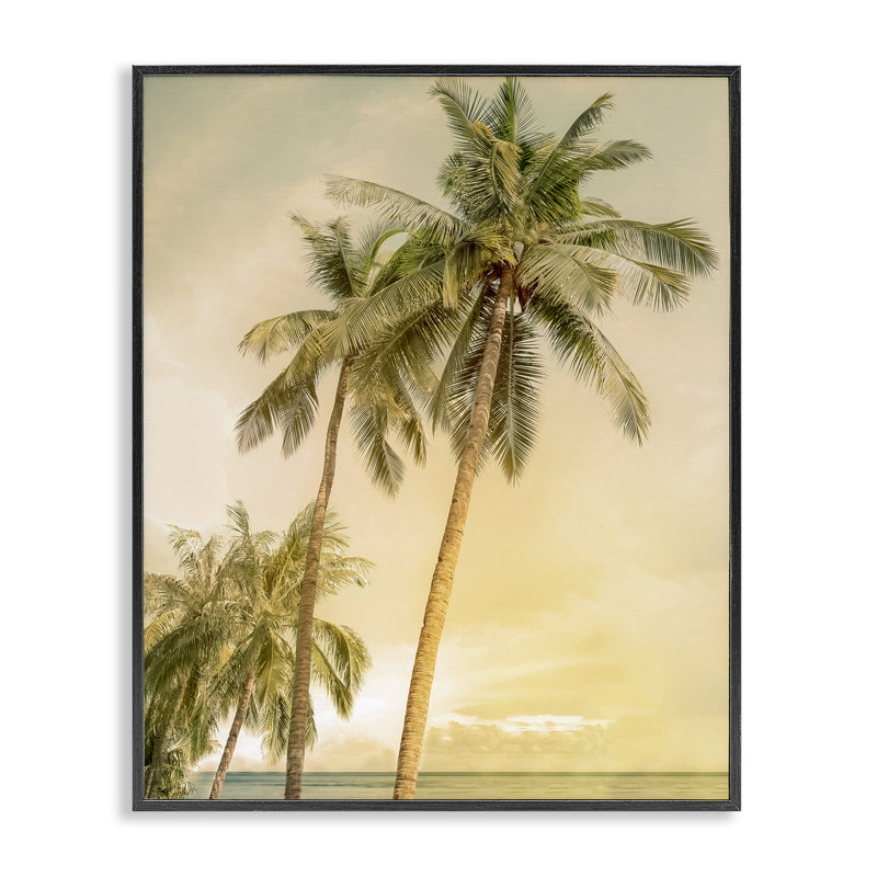 Sunrise Palm Trees, estampe numérique, design par Mike Calascibetta, H 14 po x l 11 po, Giclée encadrée noir minuit