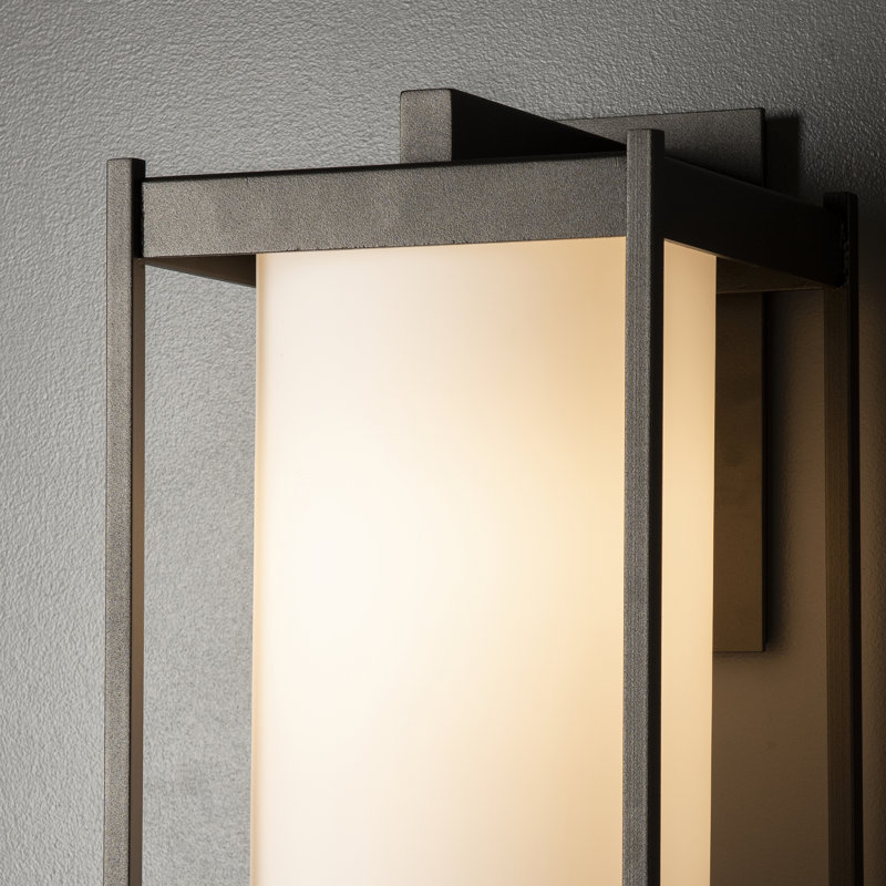 Lanterne murale d'extérieur Cela, H 16,3 po x l 8 po x P 8,9 po, Verre opale, Coastal Natural Iron