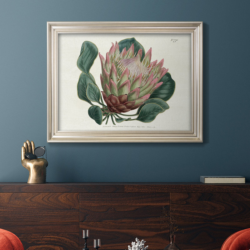 Protea N70 - reproduction d'art sur toile encadrée, L 25 po x H 21 po