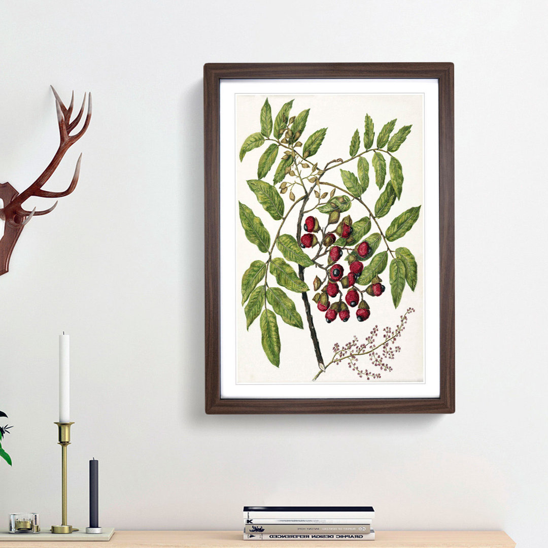 Titoki Flowers by Sarah Featon - Picture Frame Painting Print