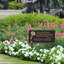 Dianthus Personalized Garden Sign-1260827807-1260000877