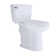 Sounor 1.28 GPF Elongated Extra Tall Two Piece Toilet with 21 inches Seat Height (Seat Included)