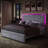 
Gerasim Bed Frame with Two Storage Drawers & LED Headboard Acrylic Mirrored,Velvet Upholstered Platform Bed-2123045526-2123045524