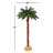 Faux Palm Tree in Freestanding-363575099