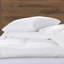 Coussin Cassiopeia-1695929172