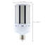 100 Watt LED Bulb-67127327