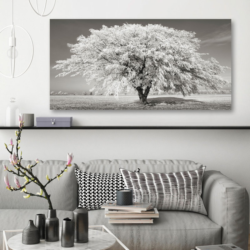 Lime Tree With Frost, Bavaria, Germany by Frank Krahmer - Wrapped Canvas Print, 50cm H x 100cm W x 4cm D