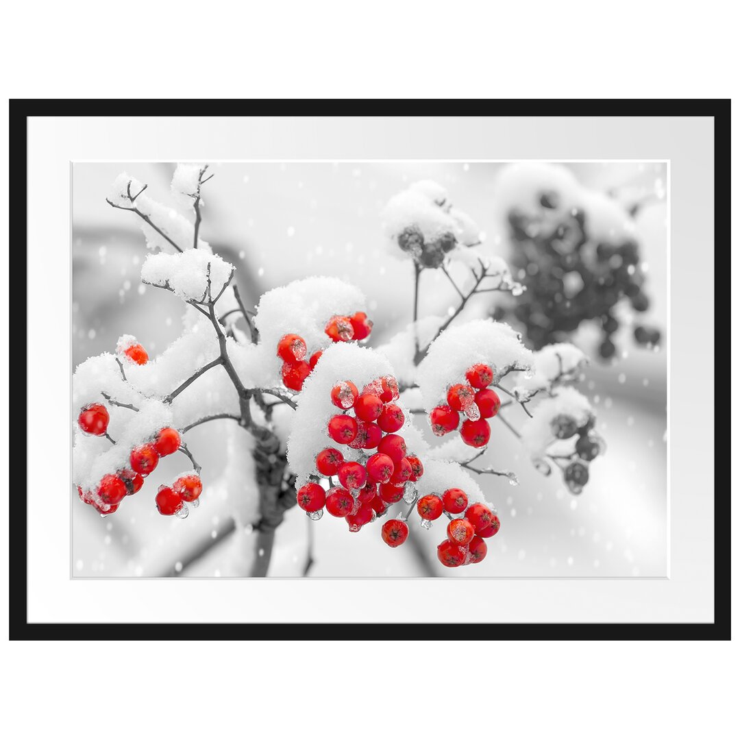 Gerahmtes Poster Rote Vogelbeeren im Winter