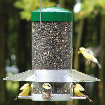 Kulick Metal Hanging Tube Bird Feeder
