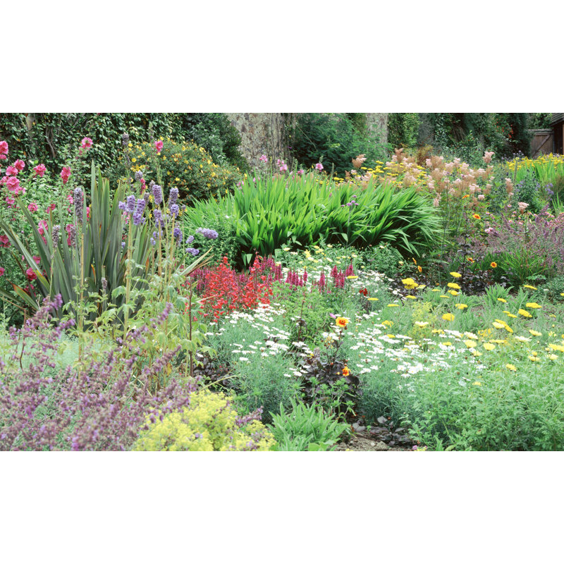 Adhésif décoratif fleur, H 60 po x l 120 po x P 0,02 po