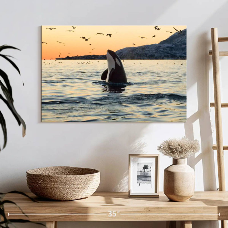 Baleine espion espion, H 16 po x l 24 po