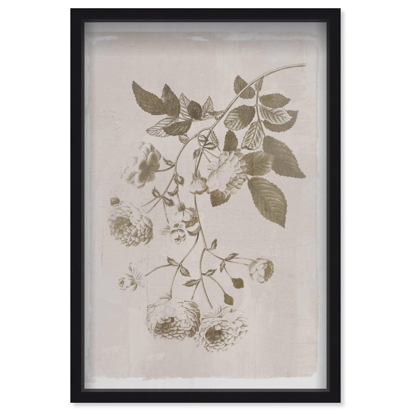 Oliver Gal Illustration of Flowers Floral and Botanical - Luxury Shadowbox Framed Wall Art, 31" H x 21" W, Black