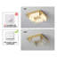 4 - Light 32Cm LED Acrylic Flush Mount