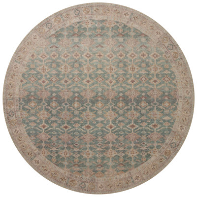 Angela Rose x Loloi Aubrey Aqua / Sand Area Rug & Reviews | Wayfair