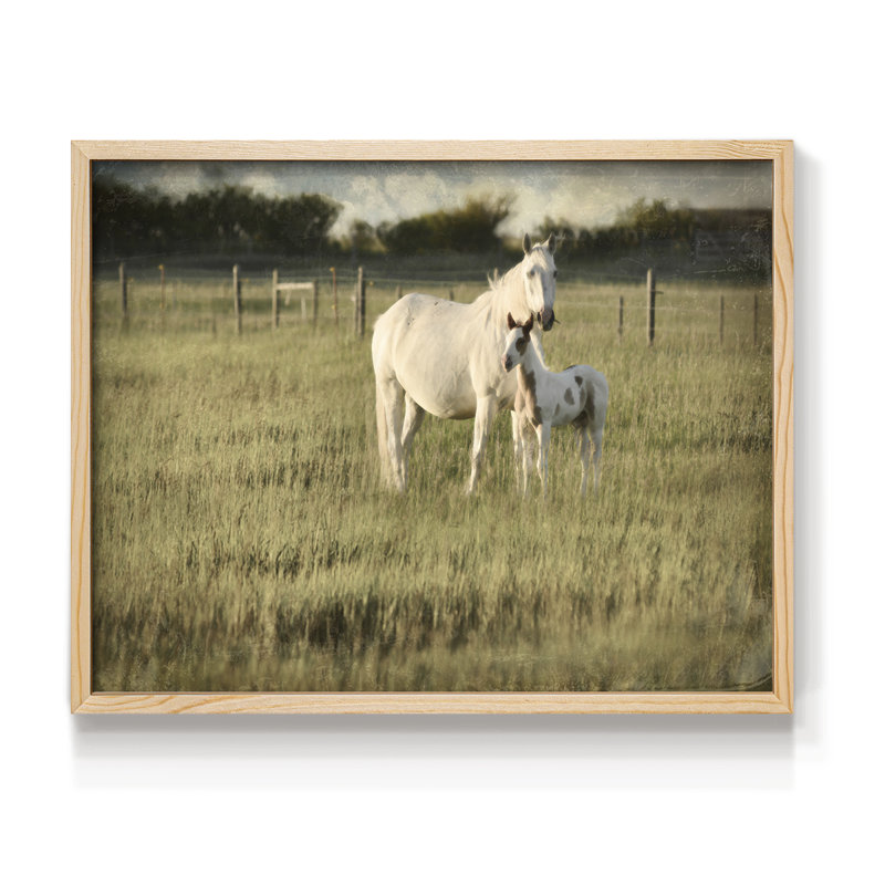 Mare and Colt -Framed Print - Restickable, H 8 po x l 10 po, Naturel