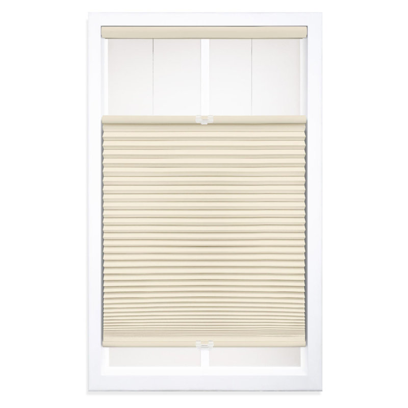 Symple Stuff Blackout Top Down Bottom Up Cellular Shade & Reviews | Wayfair