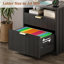 73cm Wide 2 -Drawer File Cabinet-2021688801