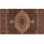 Wool Oriental Area Rug