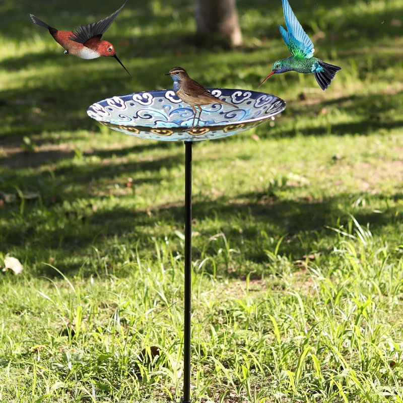 Mangeoire en verre pour oiseaux