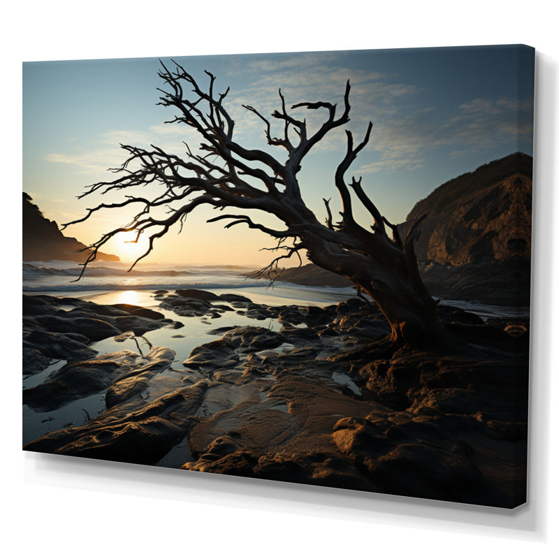 «Alixia Tree Beachside Harmony III», reproduction sur toile, H 30 po x l 40 po x P 1,5 po, Toile tendue