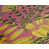 Brun / bleu / jaune / rose est en rupture de stock
