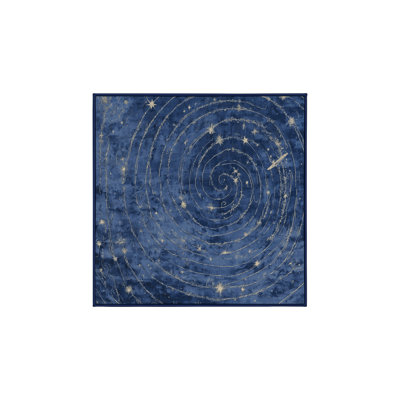 Machine Washable Blue Area Rug